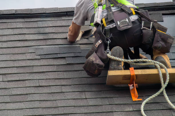 Best Roof Ventilation Installation  in Lemon Hill, CA