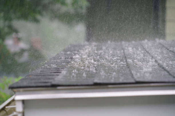 Best Roof Maintenance and Cleaning  in Lemon Hill, CA