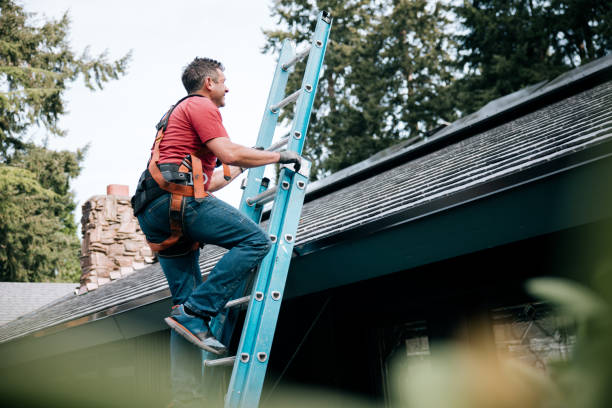 Best Roof Leak Repair  in Lemon Hill, CA