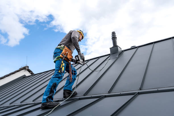 Best Solar Panel Roofing Installation  in Lemon Hill, CA