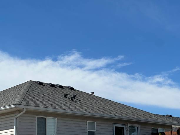 Best Green or Eco-Friendly Roofing Solutions  in Lemon Hill, CA